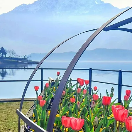 Porto Vecchio Apartmán