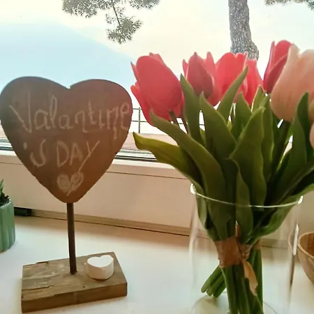 Apartment Porto Vecchio - Charming Lakefront In The Heart Of Domaso