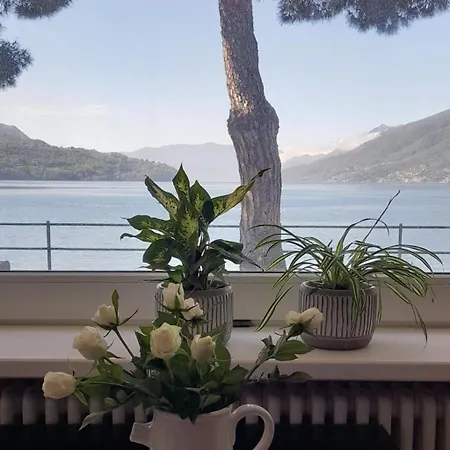 Apartment Porto Vecchio Domaso