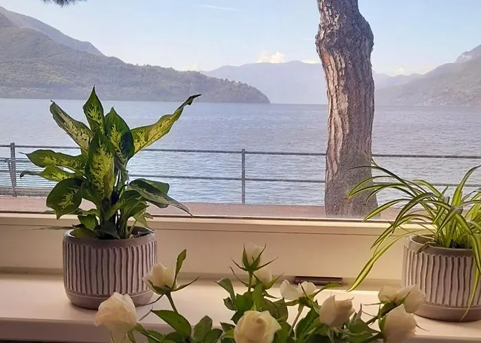 Porto Vecchio דומאסו