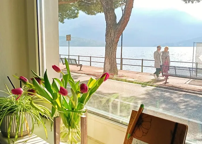 Porto Vecchio דירה דומאסו