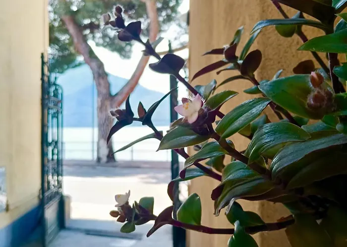 Porto Vecchio - Charming Lakefront In The Heart Of