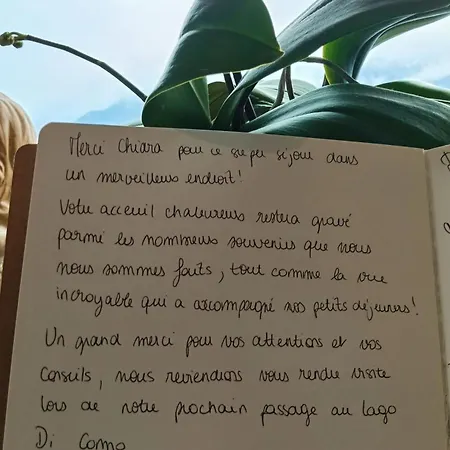 Porto Vecchio Lejlighed *